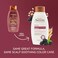 OGX Aveeno Color Protect Strengthen+ Blackberry Quinoa Shampoo, Fresh, 12 Fl Oz (Pack of 2)