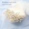 Catery Flower Crystal Bride Wedding Hair Comb Hair Accessories with Pearl Bridal Side Combs Headpiece for Women (Gold)