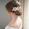 Catery Flower Crystal Bride Wedding Hair Comb Hair Accessories with Pearl Bridal Side Combs Headpiece for Women (Gold)