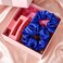 Satin Royal Blue Scrunchies 2 Pcs Hair Ties Scrunchies for Women Girls Hair Accessories Elastic Hair Ponytail Holder