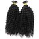 Long Kinky Curly Pre Bonded Fusion I Tip Human Hair Extension Mongolian Human Hair I Tip Hair Extensions 100g/100 strands (20inch 100Strands, #Natural Color)