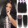 Water Wave Bundles With Closure Free Part Wet and Wavy Unprocessed Virgin Human Hair 100% Human Hair Extensions Water Wave Closure Laritaiya (20 22 24 26+18)