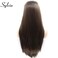 Sylvia 6# Brown Silky Straight Synthetic Lace Front Wig Long Brown Synthetic Wig Side Parting Heat Resistant Fiber Replacement Hair For Woman