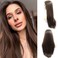 Sylvia 6# Brown Silky Straight Synthetic Lace Front Wig Long Brown Synthetic Wig Side Parting Heat Resistant Fiber Replacement Hair For Woman