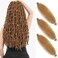 3 Packs Springy Afro Twist Hair 16 Inch Pre-Separated Kinky Marley Twist Braiding Hair Color 27# Soft Synthetic Crochet Hair Extensions for Spring Twists and Faux Locs Style