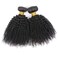Afro Kinky Curly Human Hair 2 Bundles 8 8 Inch Weave Hair Extensions for Black Women 100% Unprocessed Virgin Hair Afro Kinky Human Hair Bundles Natural Color