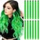 12 PCS Green Hair Extensions Clip in, Colored Party Highlights Extension for Kids Girls Synthetic Hairpiece Straight 22 inch