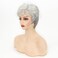 XIUFAXIRUSI XIUFAXIRUSI Short Curly Grey Pixie Wigs for White Women Sliver Grey Layered Synthetic Wig Natural Looking Pixie Cut Fluffy Wigs with Bangs