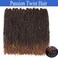 Passion Twist Crochet Hair 22 Inch Water Wave Crochet Hair for Butterfly Locs Long Passion Twist Hair Spring Twist Hair Extensions(T30,6 Packs)