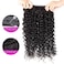 Water Wave Bundles with Closure(18 20 22+16inches) 12A Brazilian Virgin Hair Wet and Wavy Bundles with Lace Closure 100% Unprocessed Curly Weave Bundles with Closure Hair Extensions Natural Color