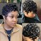 Pixie Wigs for Black Women Human Hair Short Curly Pixie Cut Wigs For Black Women Full Machine Made Wig Glueless Wig None Lace Front Wig Pixie Curly Black 1B