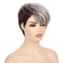 Short Grey Mix Brown Womens Wig with Bangs Pixie Cut Layered Fluffy Hair Synthetic Wigs for Daily Use