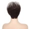 Short Grey Mix Brown Womens Wig with Bangs Pixie Cut Layered Fluffy Hair Synthetic Wigs for Daily Use
