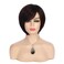 Baruisi Short Brown Bob Wigs for Women Synthetic Straight Costume Hair Wig for Party Daily Use