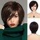Baruisi Short Brown Bob Wigs for Women Synthetic Straight Costume Hair Wig for Party Daily Use