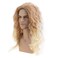 Baruisi Long Curly Wavy Blonde Wigs for Men Synthetic Natural Party Halloween Cosplay Hair Wig
