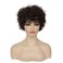 Baruisi Short Curly Brown Wigs for Women Natural Looking Synthetic Brown Cosplay Hair Wig
