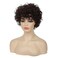 Baruisi Short Curly Brown Wigs for Women Natural Looking Synthetic Brown Cosplay Hair Wig