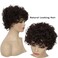 Baruisi Short Curly Brown Wigs for Women Natural Looking Synthetic Brown Cosplay Hair Wig