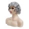 Baruisi Short Curly Grey Wigs for Women Synthetic Natural Wavy Costume Cosplay Party Wig,Grey