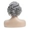 Baruisi Short Curly Grey Wigs for Women Synthetic Natural Wavy Costume Cosplay Party Wig,Grey