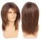 Baruisi Mens Wig Brown Long Straight Synthetic Cosplay Halloween Hair Wigs for Fancy Dress