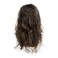 Baruisi Long Curly Wavy Brown Wigs for Men Synthetic Natural Party Halloween Cosplay Hair Wig