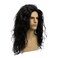 Baruisi Long Curly Wavy Black Wigs for Men Synthetic Natural Party Halloween Cosplay Hair Wig