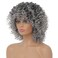 Grey Afro Curly Wigs for Black Women Dark Roots with Bangs Wig Short Wave Kinky Synthetic Daily Use Wig