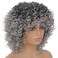 Grey Afro Curly Wigs for Black Women Dark Roots with Bangs Wig Short Wave Kinky Synthetic Daily Use Wig