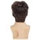 Mens Short Brown Wig Synthetic Natural Replacement Hair Wig for Daily Party Wear