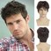 Mens Short Brown Wig Synthetic Natural Replacement Hair Wig for Daily Party Wear