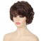 Kaneles Short Brown Curly Wavy Wig with Hair Bangs Synthetic Fashion Brown Hair Wigs for Women?Dark Brown?