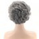 TISHINING Short Grey Curly Wigs for White Women Layered Silver Gray Pixie Cut Synthetic Full Wig with Bangs Natural Looking Daily Party Wigs for Older Women