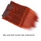 14" Clip in Human Hair Extensions Full Head 110g 7 Pieces 16 Clips Copper Red Double Weft Brazilian Real Remy Hair Extensions Thick Straight Silky (14" 110g, 350)