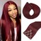 Wine Red Straight Clip in Hair Extensions Real Human Hair 18 Inch 120g Brazilian Remy Human Hair 16 Clips Double Weft Human Hair For Women Full Head 7 Pcs Per Set (18 Inch, #99JBurgundy)