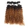 Ombre Body Wave Human Hair 4 Bundles Deep Wave Human Hair Weave 1B/30 Human Hair Extensions (14 14 14 14, ombre 1B/30)