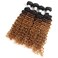 Ombre Body Wave Human Hair 4 Bundles Deep Wave Human Hair Weave 1B/30 Human Hair Extensions (14 14 14 14, ombre 1B/30)