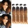 Ombre Body Wave Human Hair 4 Bundles Deep Wave Human Hair Weave 1B/30 Human Hair Extensions (14 14 14 14, ombre 1B/30)