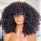 Afro Kinky Curly Wig With Bangs Human Hair For Black Women 200 Density Curly Human Hair Wig With Bangs Virgin Brazilian Scalp Top Wig 22inch