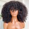 Afro Kinky Curly Wig With Bangs Human Hair For Black Women 200 Density Curly Human Hair Wig With Bangs Virgin Brazilian Scalp Top Wig 22inch