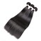 Straight Hair Bundles with Closure (10 12 14+10 Closure) 100% Brazilian Straight Virgin Hair 3 Bundles with Lace Closure Free Part Human Hair Extensions Natural Black Color