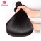 Straight Hair Bundles with Closure (10 12 14+10 Closure) 100% Brazilian Straight Virgin Hair 3 Bundles with Lace Closure Free Part Human Hair Extensions Natural Black Color