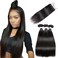 Straight Hair Bundles with Closure (10 12 14+10 Closure) 100% Brazilian Straight Virgin Hair 3 Bundles with Lace Closure Free Part Human Hair Extensions Natural Black Color