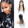 5 Twist Braids Lace Front Wigs Synthetic Braided Lace Front Wig Black Color with Baby Hair Heat Resistant Fiber Wig for Drag Queen (26 Inch, 5backcolor/lace front wig)