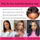 Wear and Go Glueless Wigs Human Hair Pre Plucked Pre Cut 13x4 Short Bob Wig Human Hair 180% Density Body Wave Hd Lace Front Wigs Human Hair Upgraded Glueless Bob Wigs for Black Women 14Inch