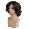 Mens Wig Short Curly Wavy Brown Wig Synthetic Natural Party Halloween Cosplay Hair Wig