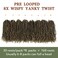 Yanky Twist Crochet Hair - 10 Inch 8 Packs Pre-twisted Fluffy Spring Mini Twist Short Passion Twist, Ombre Brown Pre-Looped Crochet Braids Braiding Hair (10 Inch, M27-8P)