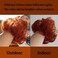 iLUU 2pcs/pack Orange Red Hair Bun Extensions Wavy Curly Messy Synthetic Chignon Hairpiece Easy Bun Hair Pieces for Women Hair Updos for Women Girl - #119B Orange Red Copper Red