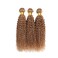 27 Bundles Human Hair Honey Blonde Curly Bundles Human Hair 8A Grade Unprocessed Brazilian Virgin Hair 3 Bundles 16 18 20 Inch Color 27 Kinky Curly Bundles